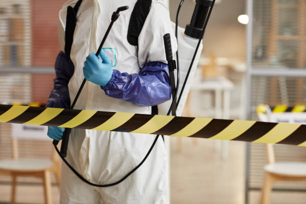 Professional Odor Removal technician working in West Hills, NY